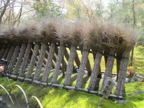 宝厳院(京都府)