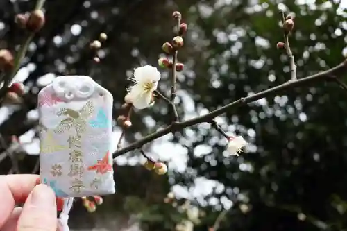 くまくま神社(導きの社 熊野町熊野神社)の鳥居