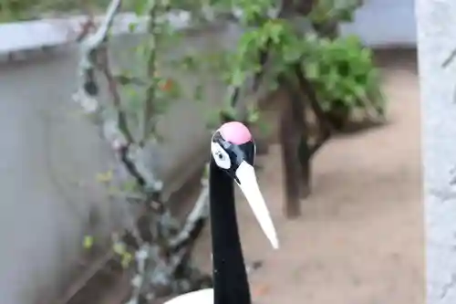 三津厳島神社の狛犬