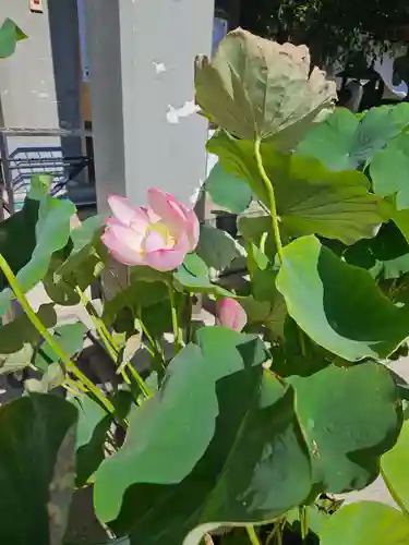 善光寺大本願(長野県)