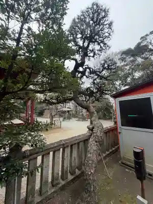 日吉神社の{uncategorized: "未分類", other: "その他", undefined: "問題あり", building: "その他建物", grave: "お墓", sacred_gate: "鳥居", guardian: "狛犬", statue: "像", buddha: "仏像", history: "歴史", nature: "自然", garden: "庭園", animal: "動物", pagoda: "塔", temizu: "手水舎", mountain_gate: "山門・神門", sanctuary: "本殿・本堂", subordinate: "末社・摂社", art: "芸術", scenery: "景色", jizo: "地蔵", ema: "絵馬", goshuin: "御朱印", omikuji: "おみくじ", items: "授与品その他", amulet: "お守り", goshuincho: "御朱印帳", eats: "食事", festival: "お祭り", votive_dance: "神楽", shichigosan: "七五三参", wedding: "結婚式", experience: "体験その他", initially: "初詣", around: "周辺", anti_infection: "感染症対策"}