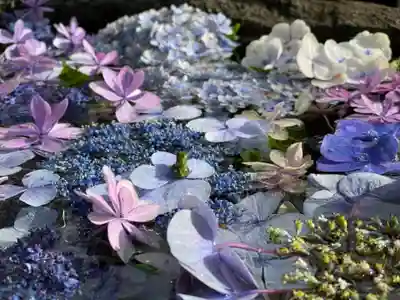 円通寺(神奈川県)