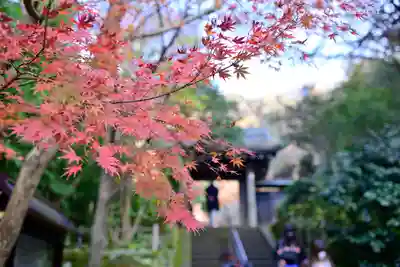 円覚寺(神奈川県)