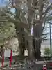 山寺日枝神社(山形県)