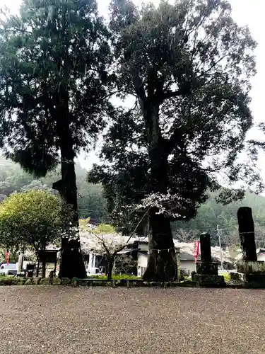巖島神社の自然