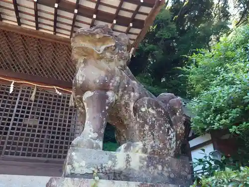 宇治上神社の狛犬