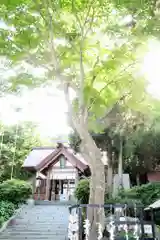 船魂神社の自然