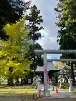 大宮神社(岩手県)