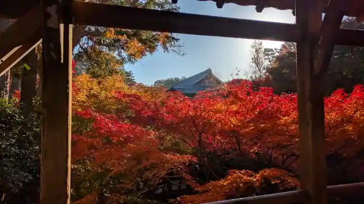 東福禅寺(東福寺)(京都府)