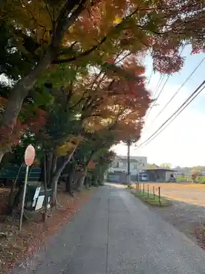 香取神社の周辺