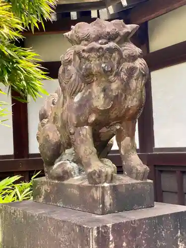 京都乃木神社の狛犬