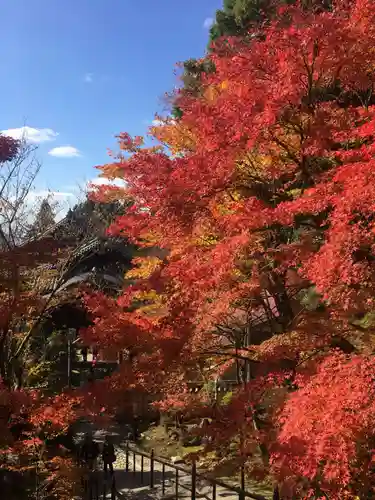 播州清水寺の景色