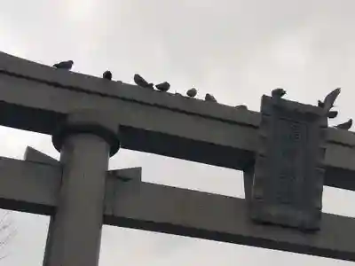 福井神社(福井県)