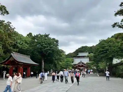 鶴岡八幡宮の景色