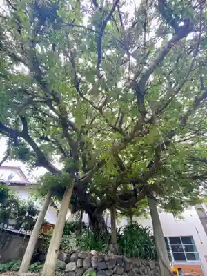 柏島稲荷神社(高知県)