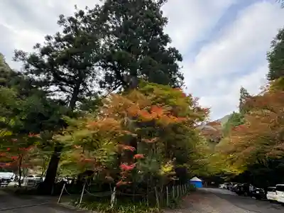 大矢田神社(岐阜県)
