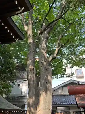 福島稲荷神社(福島県)