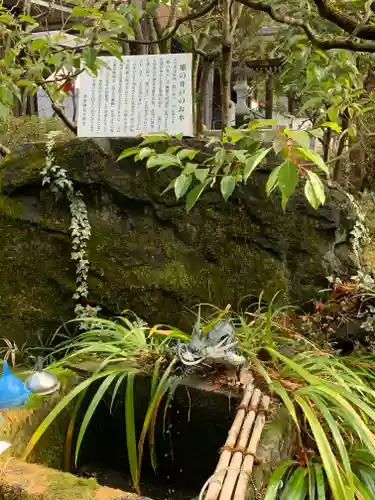 武田神社の庭園