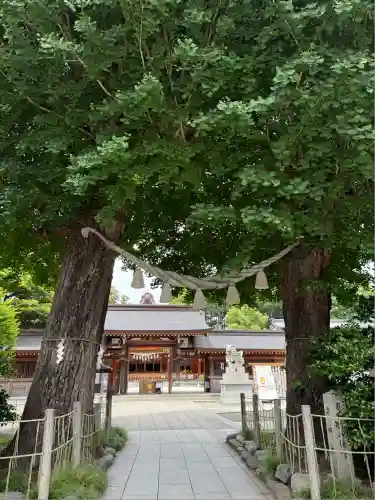 亀ケ池八幡宮(神奈川県)