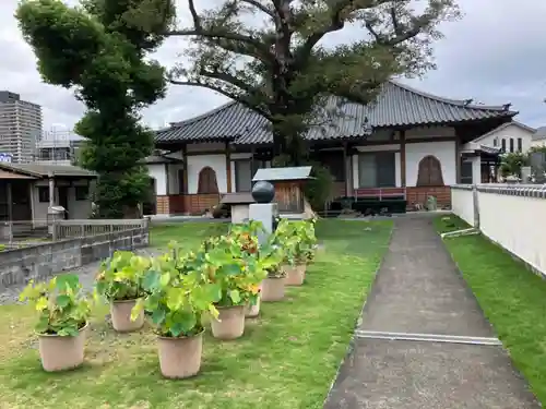 曹洞宗月光山鳳林寺の建物その他