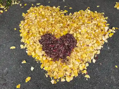 八坂寺(愛媛県)