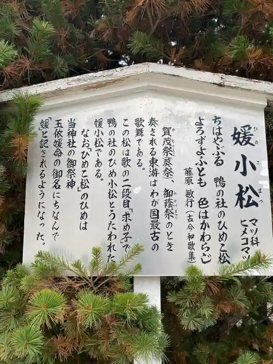 賀茂御祖神社(下鴨神社)(京都府)