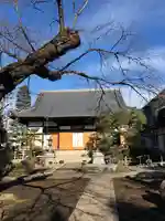 報恩寺の本殿・本堂