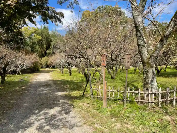 大覚寺(京都府)