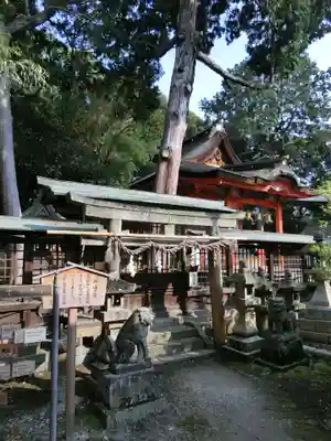 日根神社の狛犬