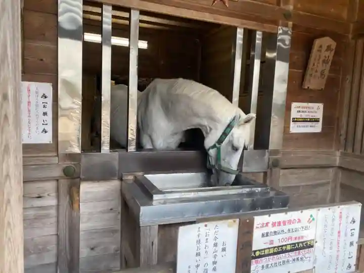 多度大社の動物