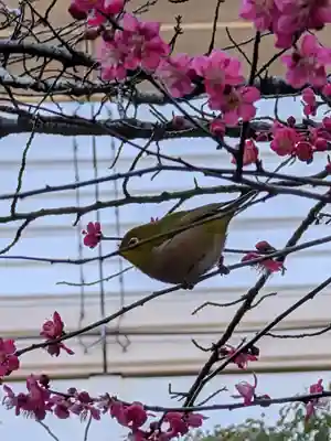 繁榮稲荷神社(東京都)