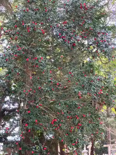 賀茂神社(滋賀県)
