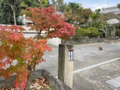 伊勢の国 四天王寺の自然