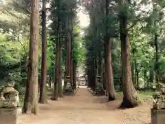 湯野神社の自然