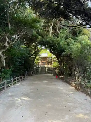 志賀海神社(福岡県)