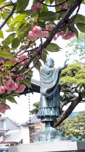 墨染寺（桜寺）(京都府)