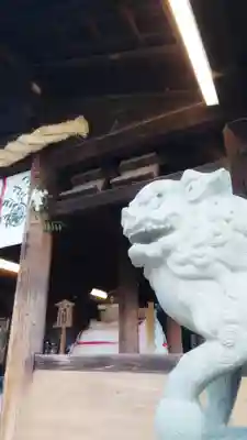 尾張大國霊神社(国府宮)の狛犬