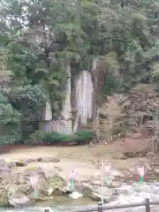 大野寺の自然