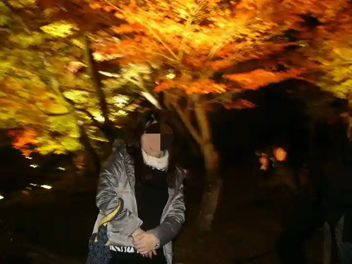 高台寺(高台寿聖禅寺・高臺寺)(京都府)