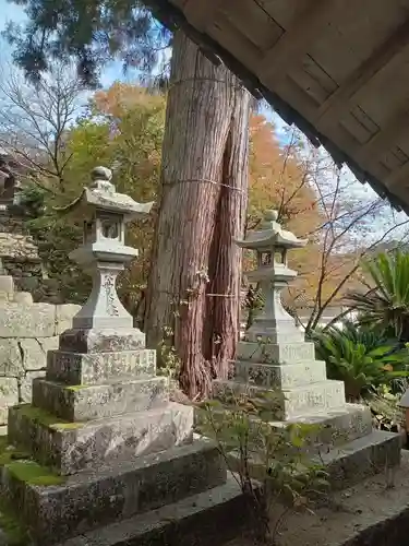 長谷寺(奈良県)