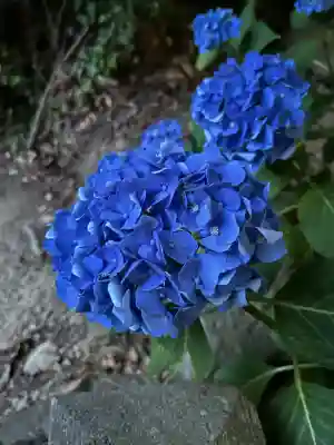 滑川神社 - 仕事と子どもの守り神(福島県)