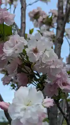 六孫王神社(京都府)