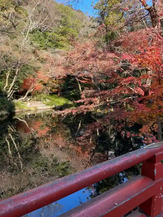 鶴岡八幡宮の自然