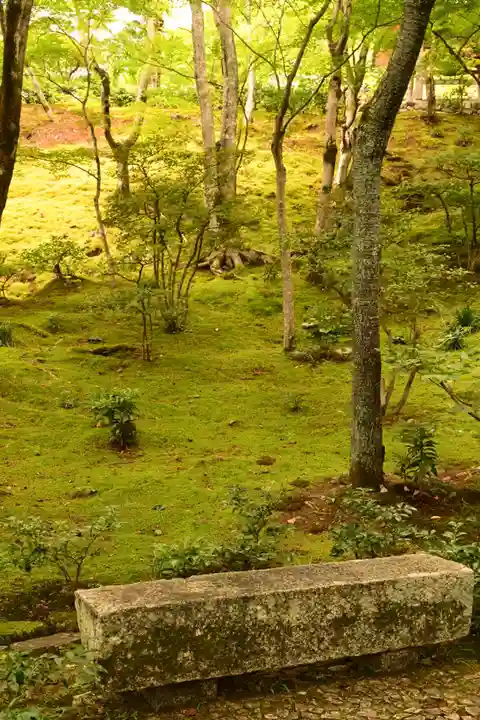 常寂光寺(京都府)