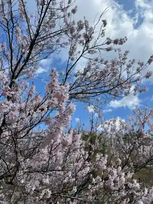 陽林寺の{uncategorized: "未分類", other: "その他", undefined: "問題あり", building: "その他建物", grave: "お墓", sacred_gate: "鳥居", guardian: "狛犬", statue: "像", buddha: "仏像", history: "歴史", nature: "自然", garden: "庭園", animal: "動物", pagoda: "塔", temizu: "手水舎", mountain_gate: "山門・神門", sanctuary: "本殿・本堂", subordinate: "末社・摂社", art: "芸術", scenery: "景色", jizo: "地蔵", ema: "絵馬", goshuin: "御朱印", omikuji: "おみくじ", items: "授与品その他", amulet: "お守り", goshuincho: "御朱印帳", eats: "食事", festival: "お祭り", votive_dance: "神楽", shichigosan: "七五三参", wedding: "結婚式", experience: "体験その他", initially: "初詣", around: "周辺", anti_infection: "感染症対策"}