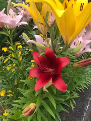 大東寺(福岡県)