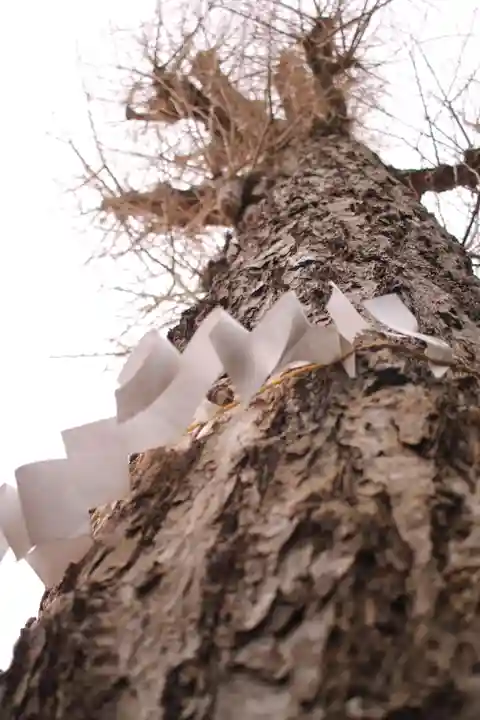 越谷香取神社(埼玉県)