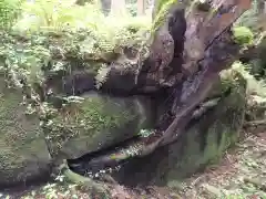 名草厳島神社(栃木県)