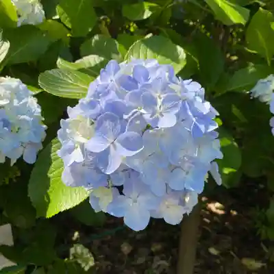 東勝寺宗吾霊堂(千葉県)