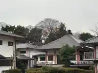 阿弥陀寺(東京都)